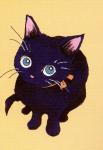 Les penses d'un ti chat
